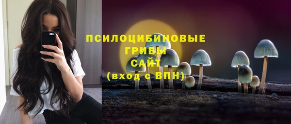мяу мяу мука Алзамай