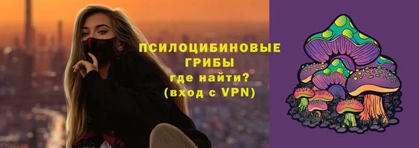 мяу мяу мука Алзамай