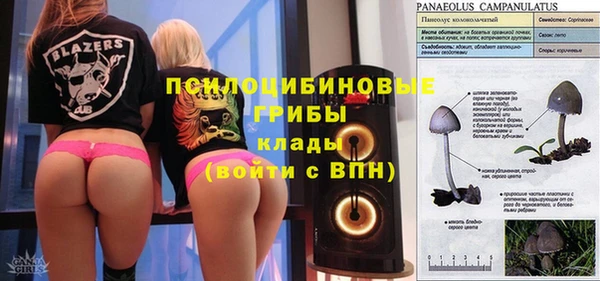 мяу мяу мука Алзамай