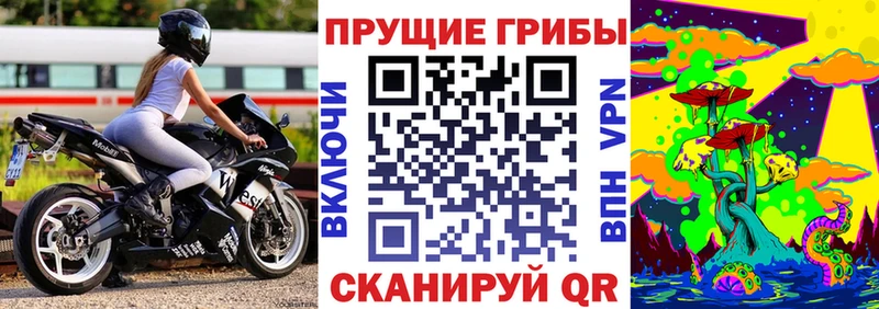 маркетплейс формула  Невинномысск  Псилоцибиновые грибы Psilocybe 